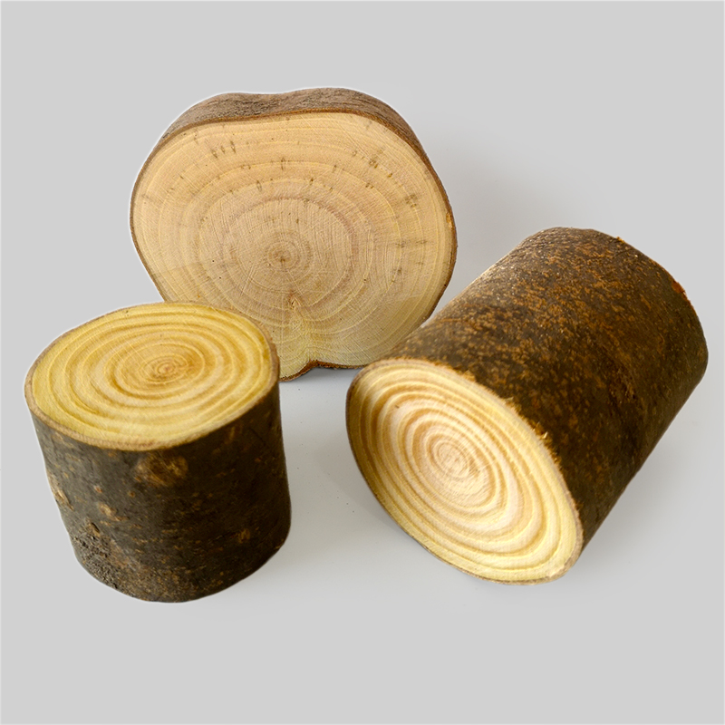 带皮榉木树桩 硬木树枝树段实木墩子 绿植摆件模型底座圆木棍
