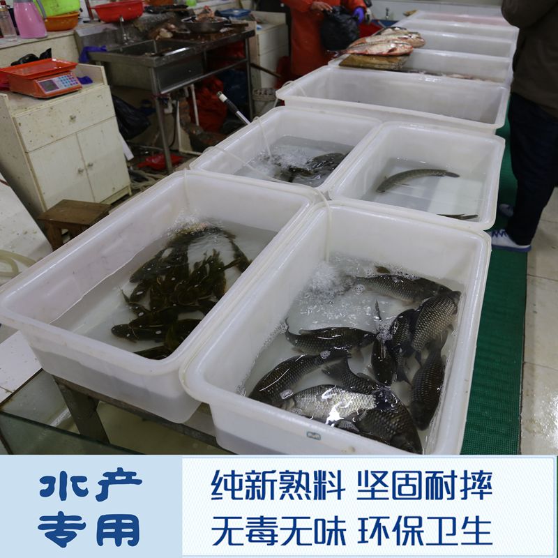 牛筋浅盆养殖塑料水箱卖鱼盆长方水桶