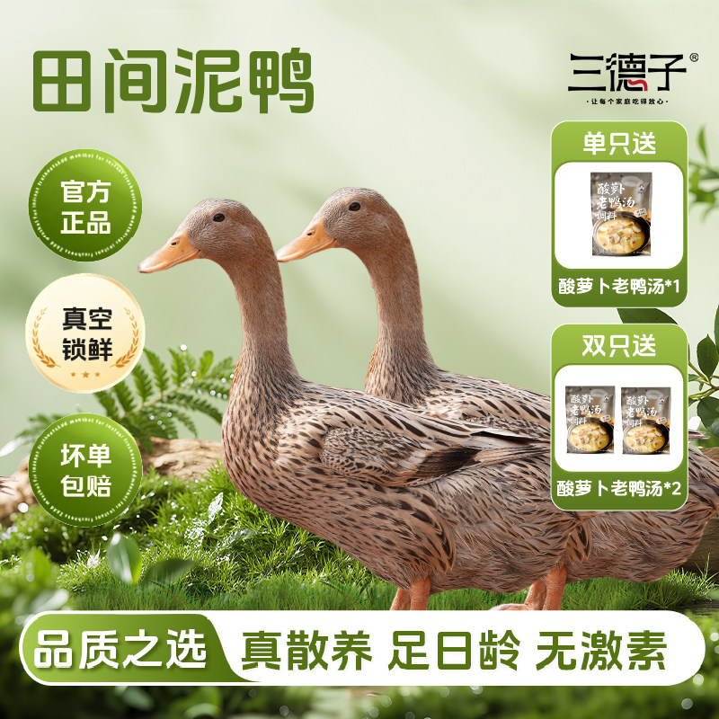 三德子田间泥鸭 农家散养500鸭肉/鸭肉制品