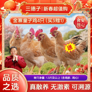 三德子 大别山金寨童子鸡4只 农家散养土鸡仔公鸡新鲜宰杀鸡肉