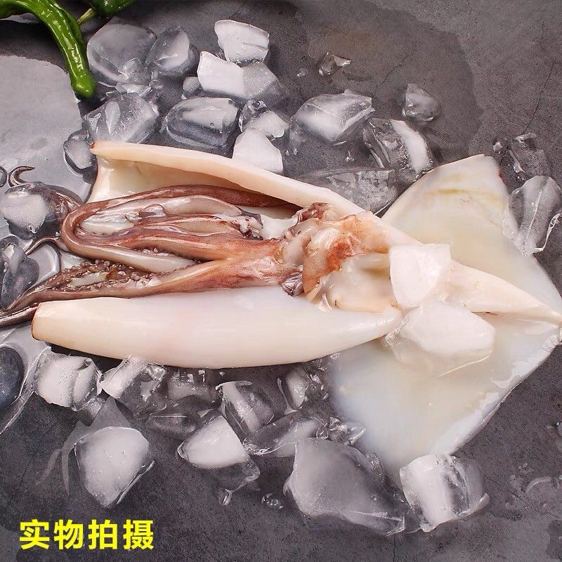 去皮大鱿鱼 5斤 /份 每份3-4条去皮去内脏去眼睛【 京东冷链发货