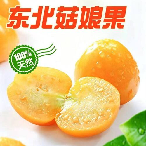 东北菇娘果姑娘果灯笼果黄金豆黄洋姑娘超香甜东北特产甘甜多汁