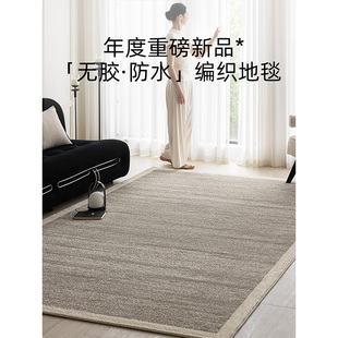 无胶升级 简约轻奢高级感抗污抑菌客厅卧室 2024新款 素色防水地毯