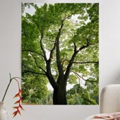 夏日森林高级感挂布宿舍床头装 饰布拍照背景布 饰挂毯卧室墙面装