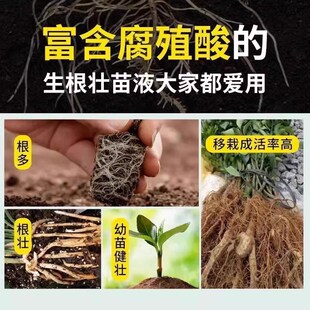 生根水复活液枯树再生液植物剂原液粉多灵菌救花树发芽营养速效