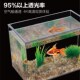 桌面客厅办公室迷你生态斗鱼金鱼乌龟缸生态造景懒人养鱼水草鱼缸