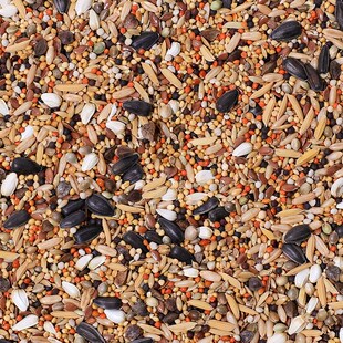 玄凤鹦鹉鸟粮饲料黄谷子加纳例子油葵专用粮鹦鹉小零食营养鸟食