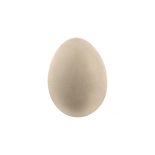 芦丁鸡受精种蛋可孵化迷你网红宠物鸡小鸡蛋纯白礼服瓦灰德系变异