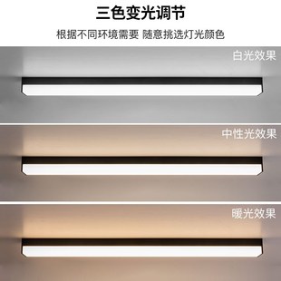 阳光房专用吸顶灯户外阳台入户灯防雨走廊顶灯长条露台屋檐阳光棚