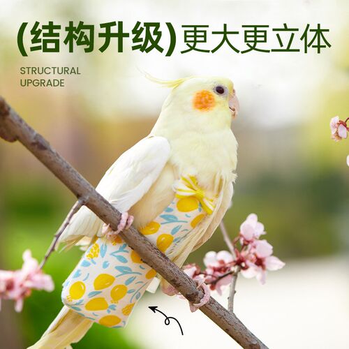 鹦鹉尿不湿鸟用屎兜衣服虎皮牡丹玄凤专用尿裤布可调节飞行服用品