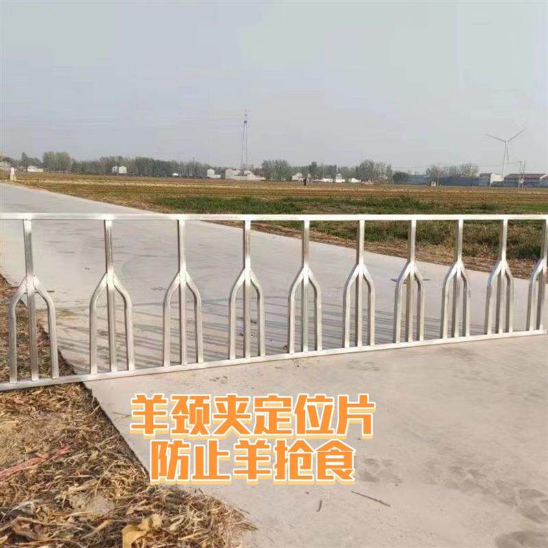 羊颈架围栏片防抢食防打架