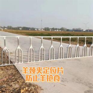 羊颈架围栏片防抢食防打架养羊专用围栏单面养羊神器专用围栏镀锌