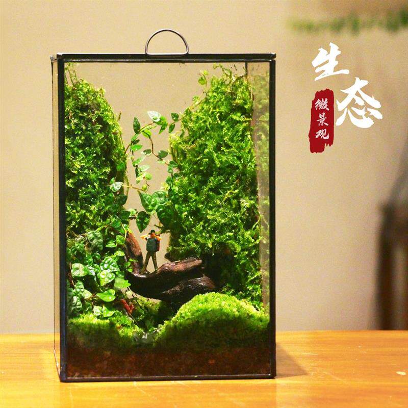 创意苔藓微缩景观盆栽办公室内闷养生态瓶趣味迷你植物教师节礼物