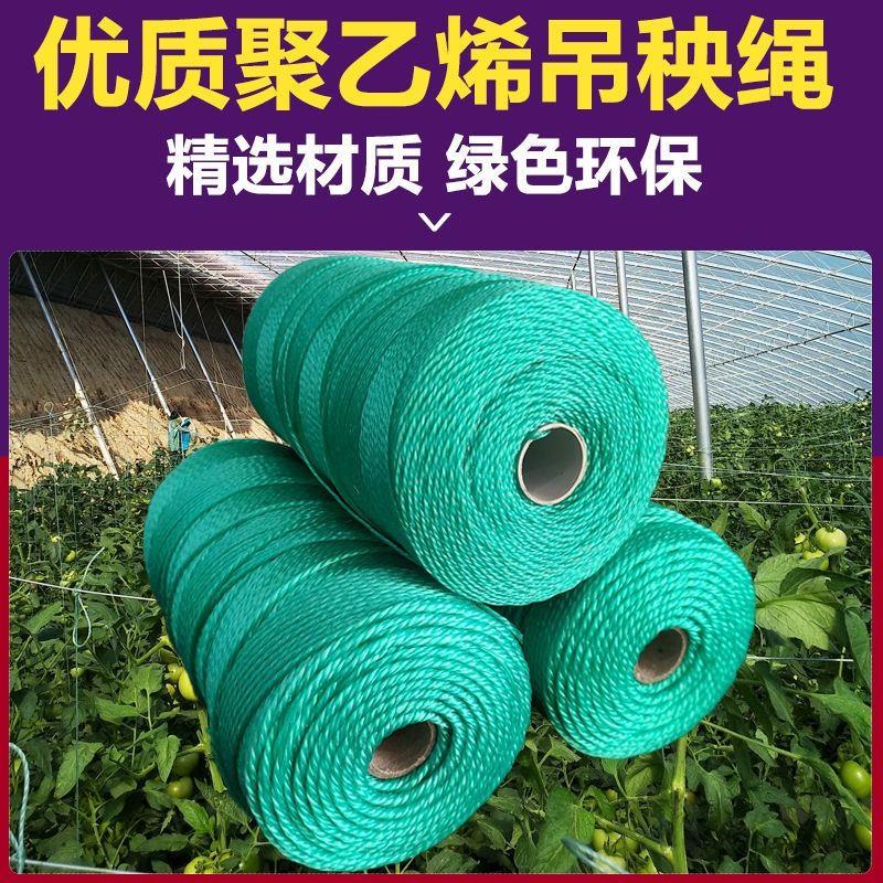 吊秧绳吊蔓绳工地施工线辣