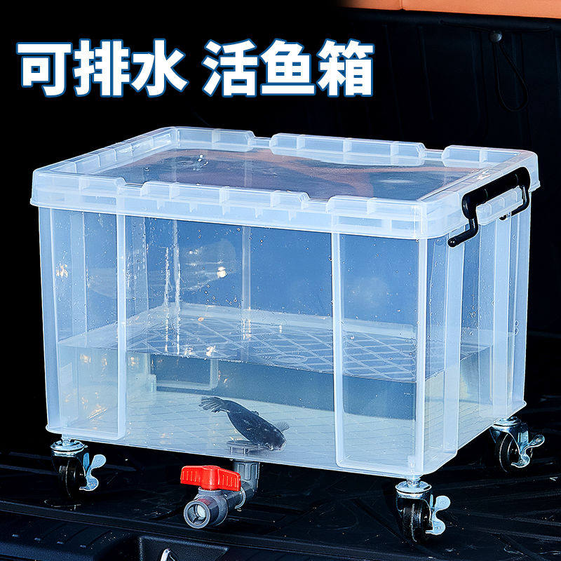 户外车载钓鱼箱透明后备箱大容量塑料加厚海鲜水产养殖鱼缸活鱼桶