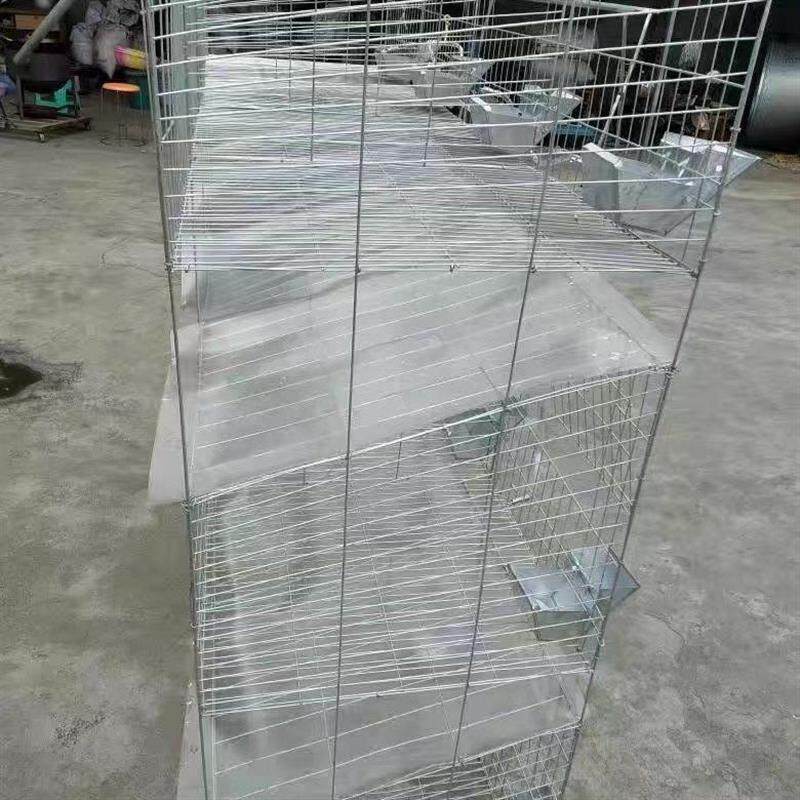 兔笼挡粪板鸡笼挡粪板鸽子