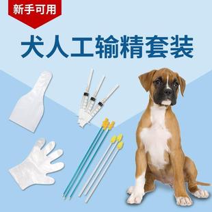犬人工输精套装授精狗采精器械专用套装大小型犬可用输精管狗狗用