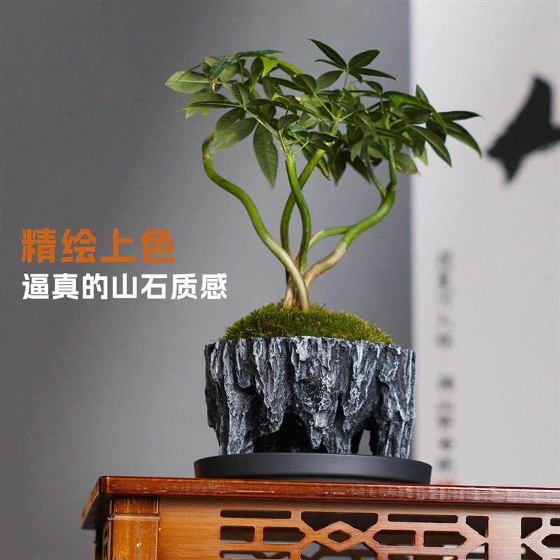 中国风假山水泥花盆客厅办