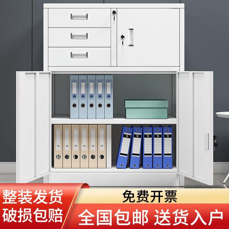 办公室文件柜铁皮铁皮柜矮