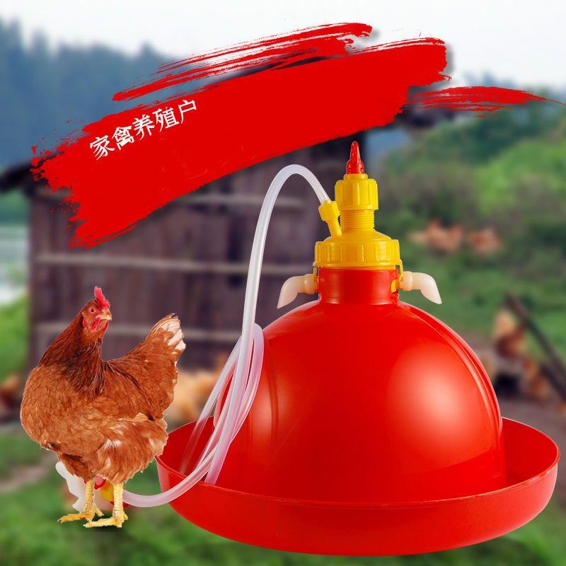 养鸡用自动饮水器普拉松鸭