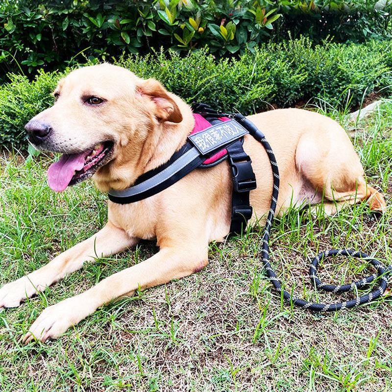 宠物狗狗专用胸背背带成犬