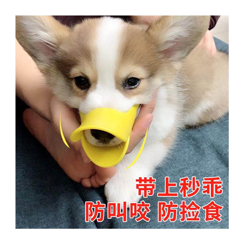 狗狗嘴套防咬防叫乱吃止吠