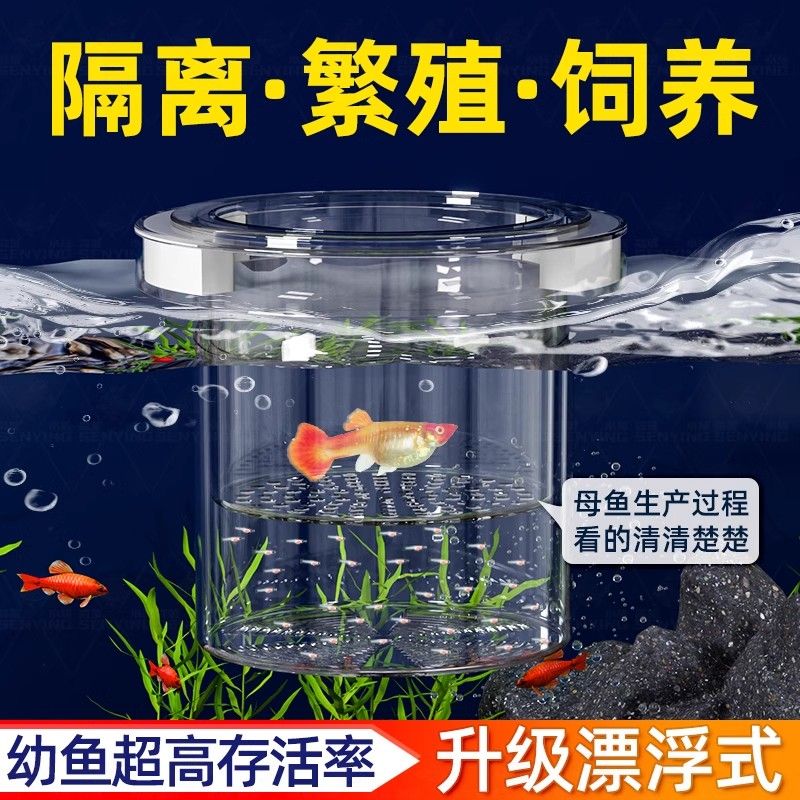 孔雀鱼繁殖盒幼鱼鱼缸隔离斗鱼鱼苗产卵器热带鱼亚克力隔离孵化盒