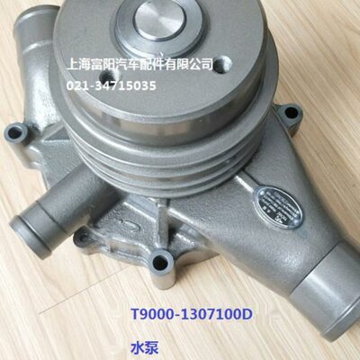 玉柴YC6TD发动机原厂T9000-1307100冷却淡水泵船电发电机组专用