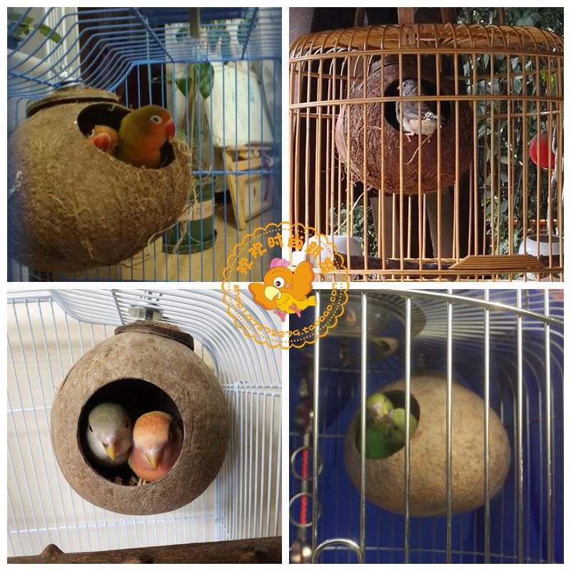 包邮牡丹虎皮珍珠文鸟窝椰壳鹦鹉窝大鸟巢椰子壳鸟窝 保暖防咬