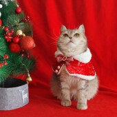 猫咪圣诞披风狗狗新年围脖宠物过年小披肩泰迪保暖围巾拍照饰品