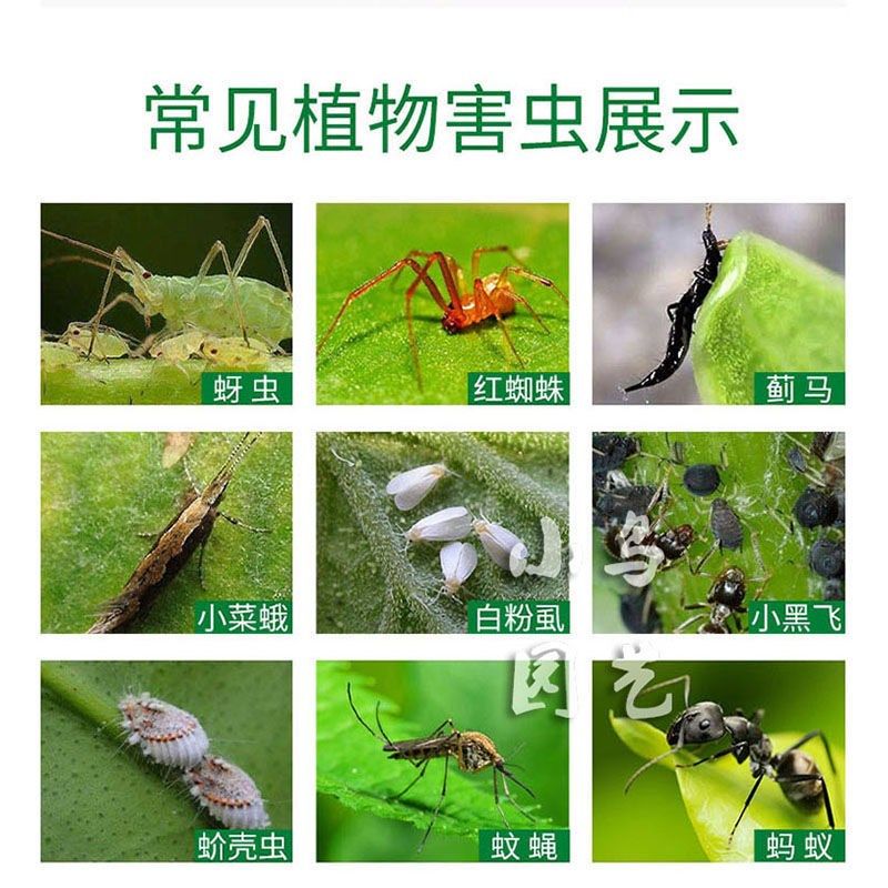 九州护花神多虫螨丁花卉绿植多肉长寿花蟹爪兰除螨虫营养液喷雾剂,鲜花速递/花卉仿真/绿植园艺,家庭园艺肥料,淘宝优惠券,粉丝福利购,淘宝优惠卷