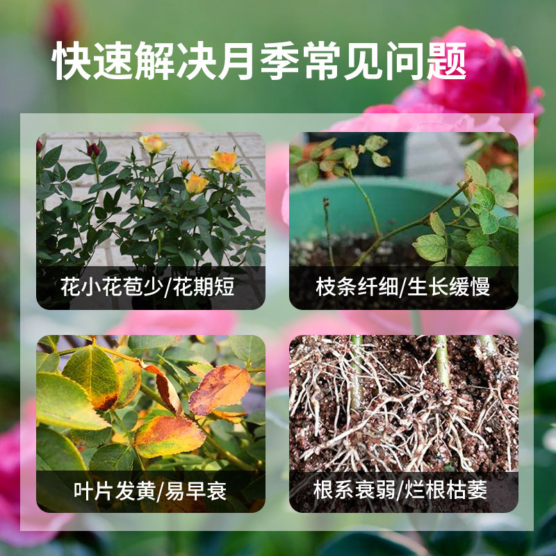 月季营养液月季花专用肥养花花肥料家用盆栽蔷薇花卉通用型水溶肥,鲜花速递/花卉仿真/绿植园艺,家庭园艺肥料,淘宝优惠券,粉丝福利购,淘宝优惠卷