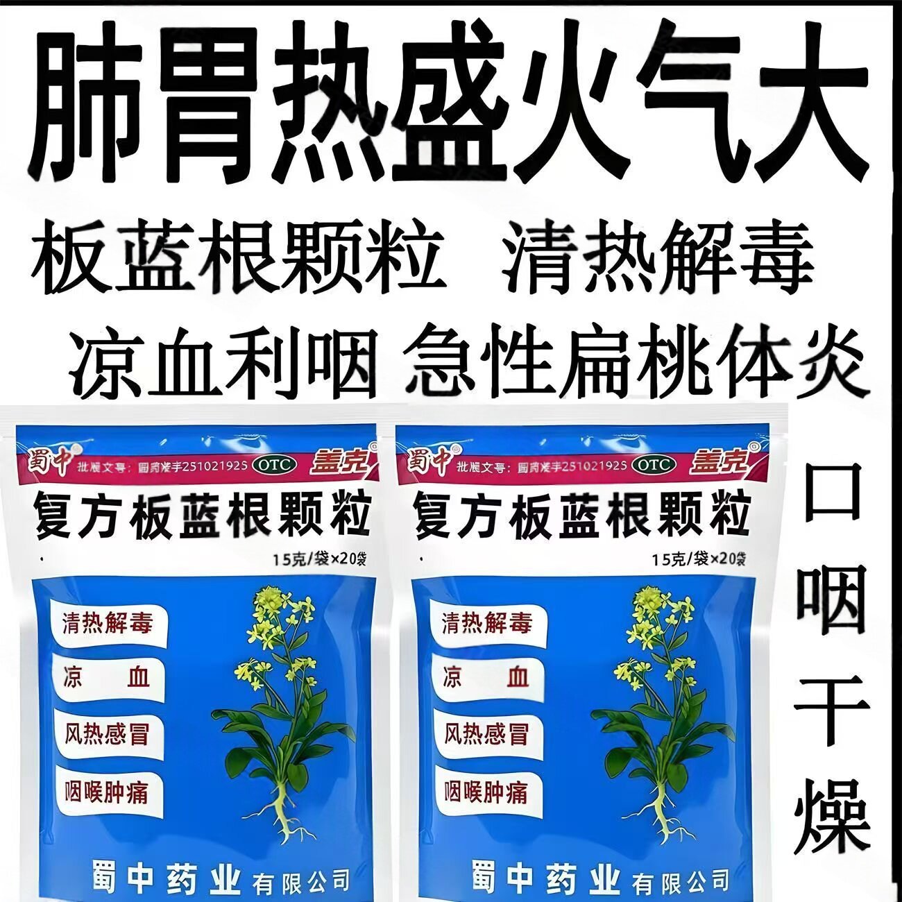 风热所致感冒 咽喉肿痛清热解毒凉血冲剂 盖克复方板蓝根颗粒20袋