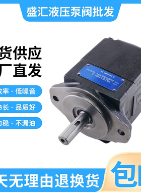 DENISON丹尼逊T67B B04 1R02 A1M0 VC00叶片泵T6C/T6E 017 3L00 B