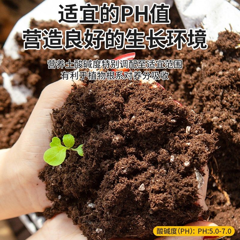 大包通用型营养土家用种植土绿植花卉专用泥炭土阳台种菜泥土透气,鲜花速递/花卉仿真/绿植园艺,介质/营养土,淘宝优惠券,粉丝福利购,淘宝优惠卷