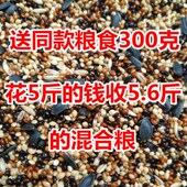 虎皮牡丹玄凤中小型鹦鹉鸟食饲料五色黍子鹦鹉混合营养粮谷子 包邮