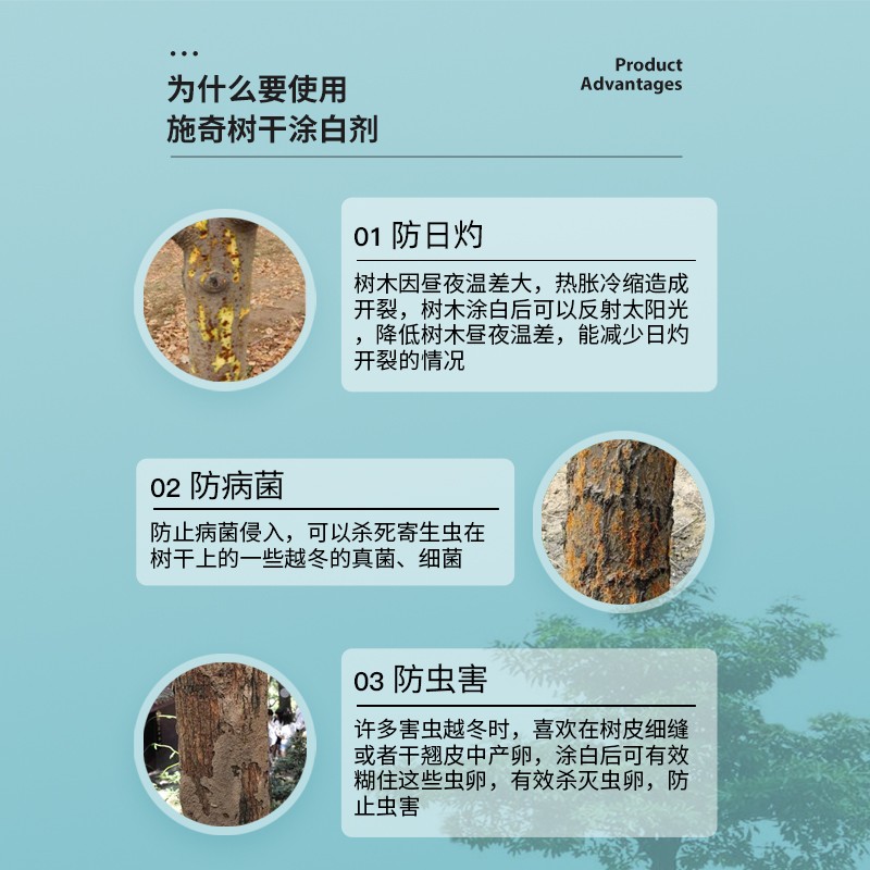施奇冬季树干涂白剂果树园林防虫防冻杀菌免兑水树木刷白送刷子
