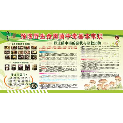预防野生食用菌中毒基本常识海报国家基本公共卫生服务项目展板