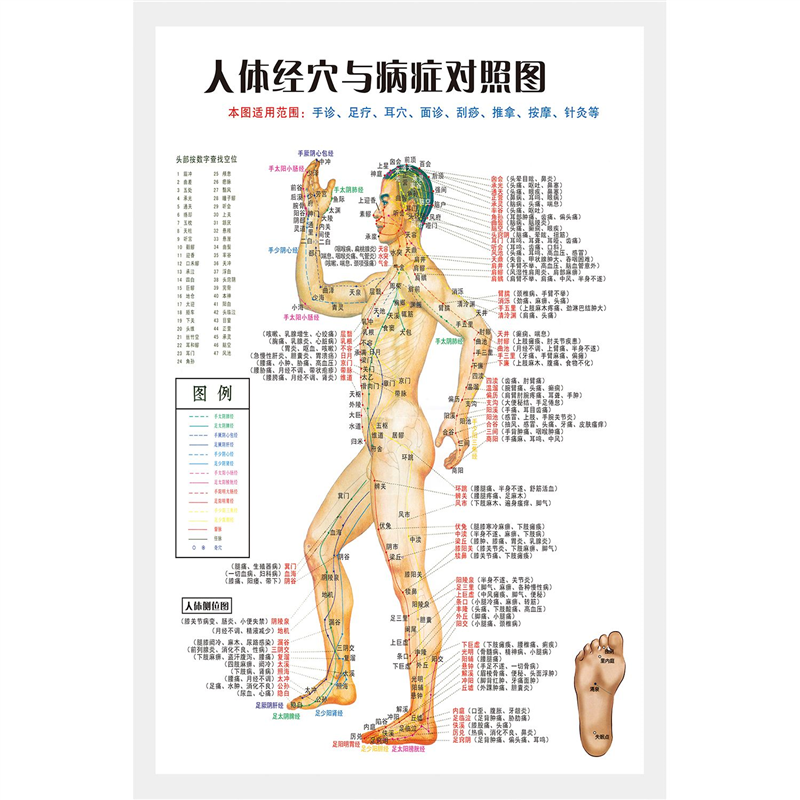 中医养生人体经穴与病症对照图经络穴位针炙对照高清海报超大挂图