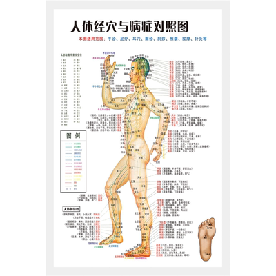 中医养生人体经穴与病症对照图经络穴位针炙对照高清海报超大挂图