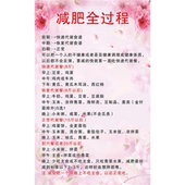 减肥全过程海报减肥食谱代餐美容减肥塑身养生调理海报