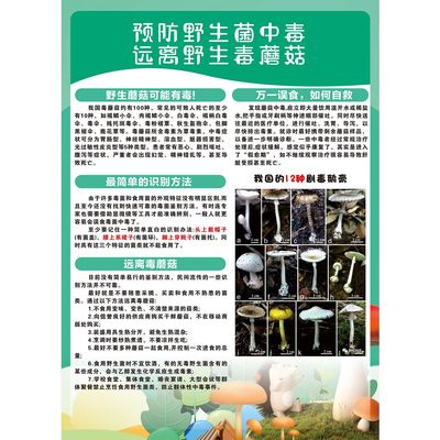 预防野生菌中毒远离野生毒蘑菇海报展板常见毒菌普及知识墙贴墙纸