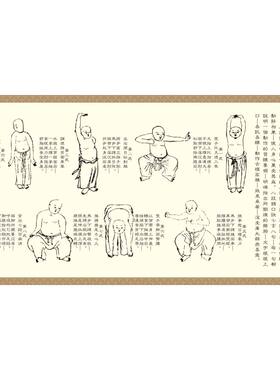 少林健身气功八段锦养生挂图挂墙海报贴画中医五禽戏动作姿势示意