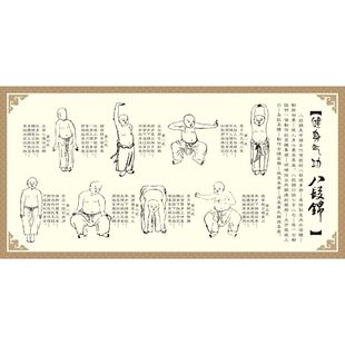 少林健身气功八段锦养生挂图挂墙海报贴画中医五禽戏动作姿势示意