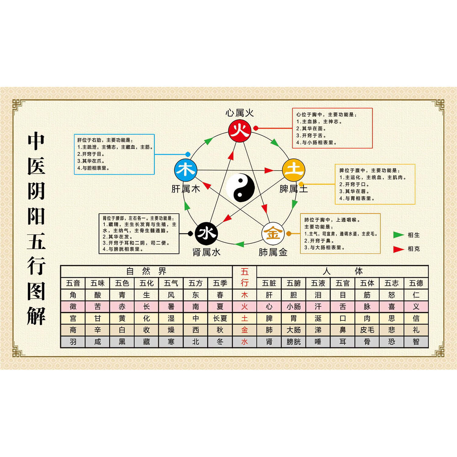 中医养生馆五行图解挂图挂画墙贴软装墙贴