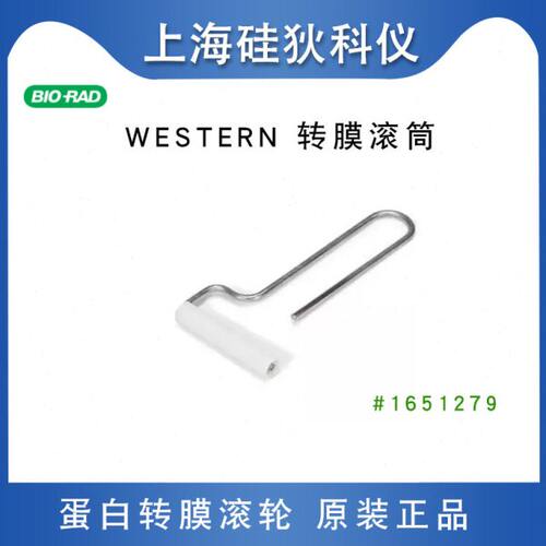 伯乐WB转膜气泡滚筒转印电泳去汽泡滚轮滚轴工具Roller #1651279