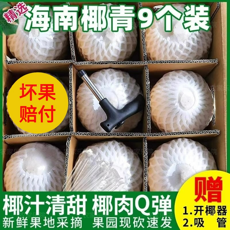 椰青椰香浓厚椰肉Q弹椰汁清甜