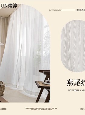 新款燕尾纱窗帘透光不透人纱帘法式轻奢高端窗纱防勾丝不起球白纱