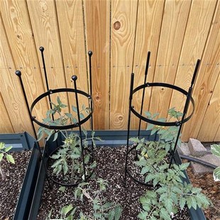 爬藤架铁线莲龟甲龙铁艺锥形攀爬花架球兰园艺架阳台藤本番茄架子