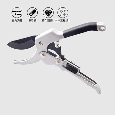 不锈钢树枝修枝剪采摘水果花木剪园林果树花卉枝嫁接园艺剪刀工具